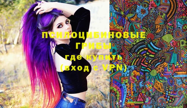 ГАЛЛЮЦИНОГЕННЫЕ ГРИБЫ Горно-Алтайск