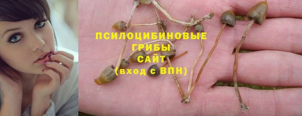 ешки Горнозаводск