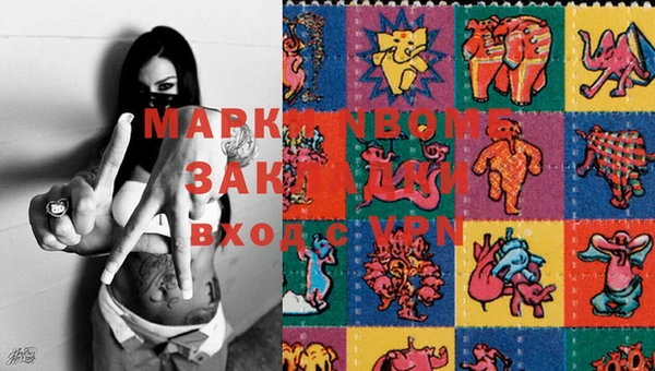 ГАЛЛЮЦИНОГЕННЫЕ ГРИБЫ Горно-Алтайск
