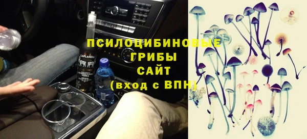 дживик Гусь-Хрустальный
